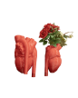 Wazon Serce anatomiczny  (4)