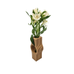 Wazon Fiorix Ekologiczny (3)