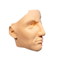 Model Edukacyjny Przekrój Nosa i Zatok - Anatomiczne Puzzle (5)