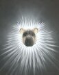 Lampka nocna projekcyjna Lew (1)
