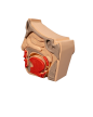 Model Edukacyjny Przekrój Nosa i Zatok - Anatomiczne Puzzle (3)