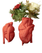 Wazon Serce anatomiczny  (5)
