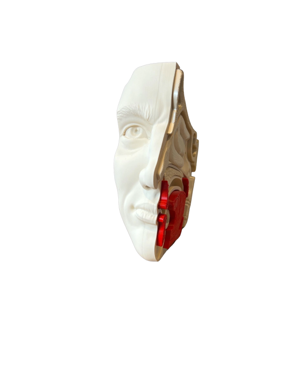 Model Edukacyjny Przekrój Nosa i Zatok - Anatomiczne Puzzle (8)