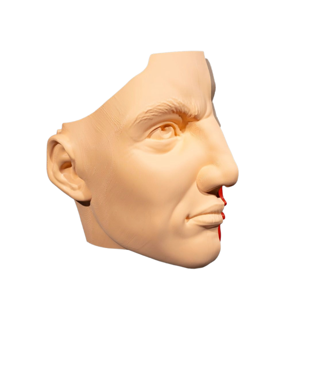 Model Edukacyjny Przekrój Nosa i Zatok - Anatomiczne Puzzle (5)