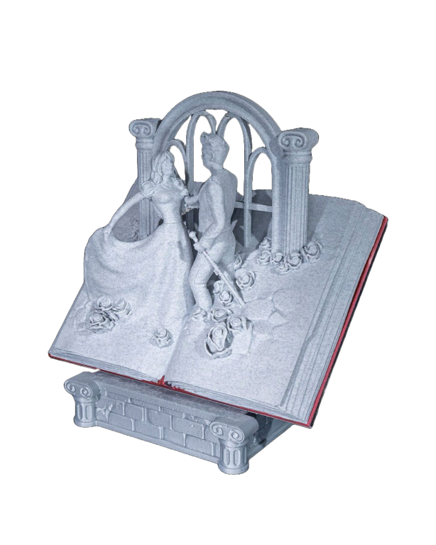 Romantyczna figura pary na książce (6)