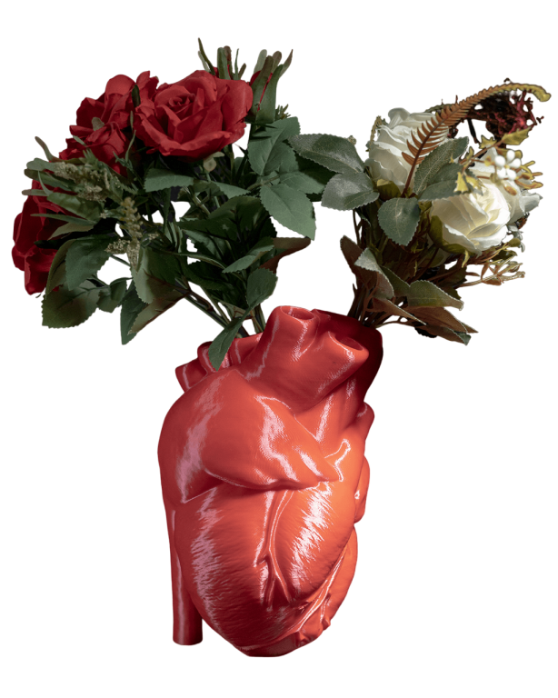 Wazon Serce anatomiczny  (2)