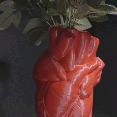 Wazon Serce anatomiczny  (6)