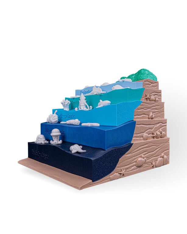 Warstwy Oceanu z Życiem Morskim - Edukacyjna Makieta 3D z Almanachem (3)