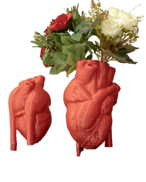 Wazon Serce anatomiczny  (5)